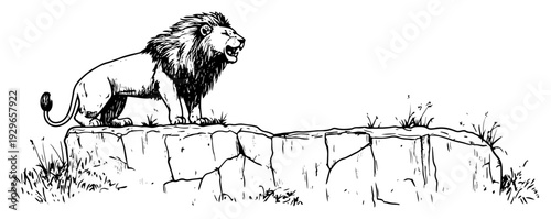 Roaring Lion Standing on Rock Cliff Hand Drawn Sketch Vector Illustration, Majestic Lion King in Wild Nature