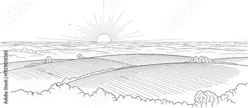 Sunrise over rolling agricultural fields with trees and a lone bird in the sky