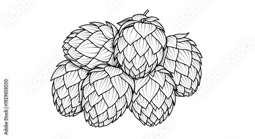 A detailed black and white illustration of a cluster of seven hop cones