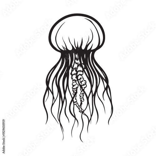 Elegant jellyfish silhouette