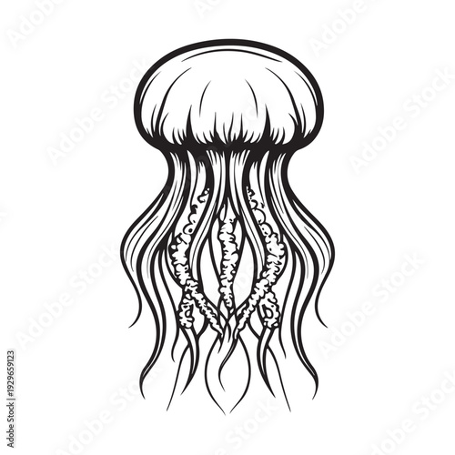 Elegant jellyfish silhouette