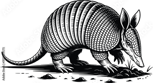 Hand drawn simple sketch vector illustration of an armadillo in minimalist line art style