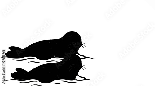 Two black seals swim in wavy water against a stark white background