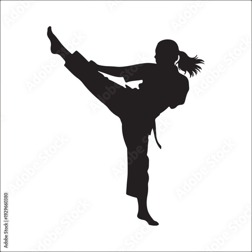 Silhouette of woman performing high kick in martial arts stance