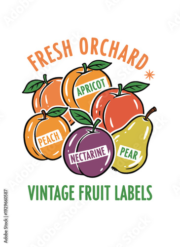 Fresh orchard fruit labels artwork. Vintage fruit market design. Organic garden produce. Peach apricot nectarine pear fruit set. Healthy food design f