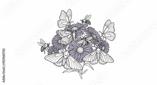 Delicate botanical illustration of butterflies and bees on purple aster flowers