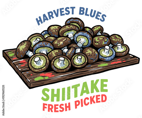 Shiitake mushrooms fresh picked artwork. Harvest blues graphic design. Organic food illustration for poster. Gourmet fungi artwork for packaging. Heal