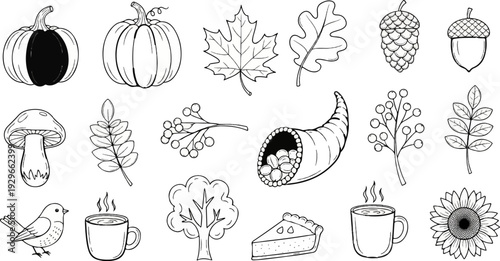 Whimsical hand-drawn illustrations of autumn harvest elements and seasonal motifs