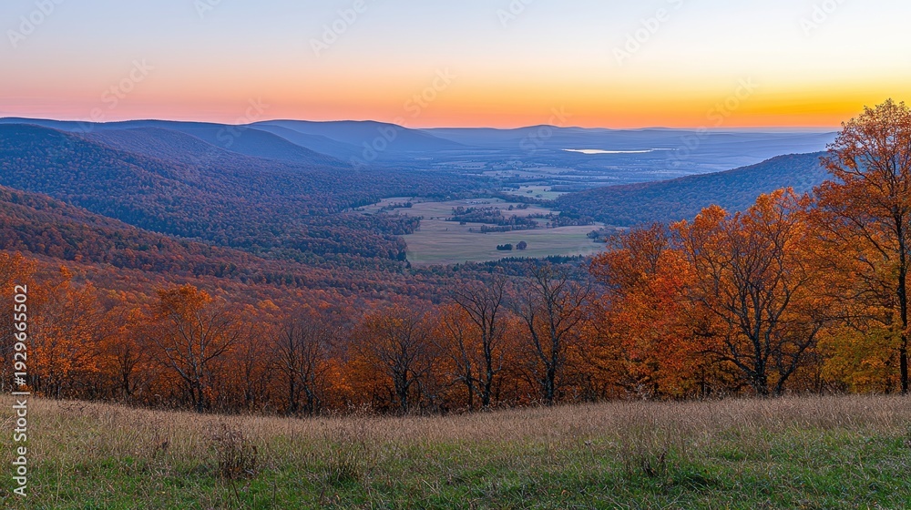 Fototapeta premium Vibrant Autumn Sunrise Over Mountain Valley Landscape with Expansive Horizon and Colorful Foliage