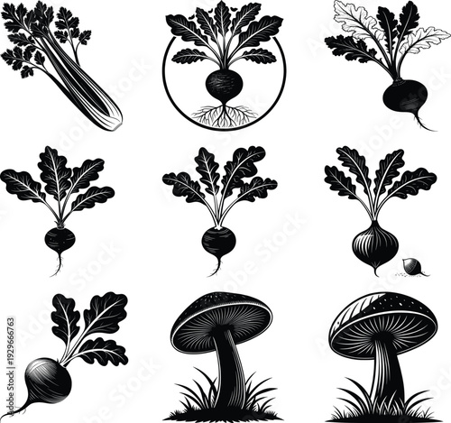 Black and white of root vegetables and mushrooms celery beet turnip radish