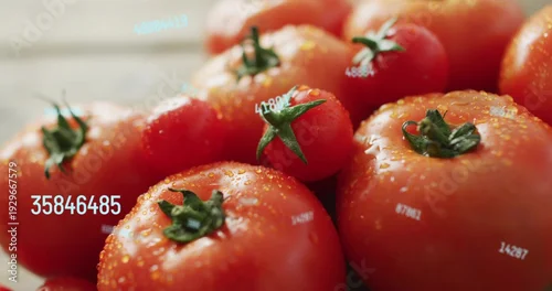 Obraz Showing cluster of ripe red tomatoes gleaming on wood counter, with green stems, drops, ID labels
