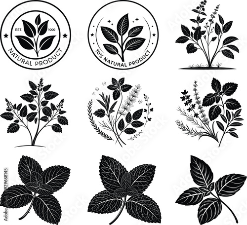 Black silhouette botanical and natural product emblems on white background leaf plant herb mint basil