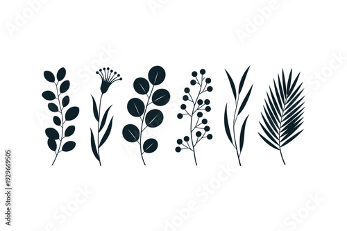 Collection of minimalist black plant silhouettes on white background silhouette leaves stems botanical illustration