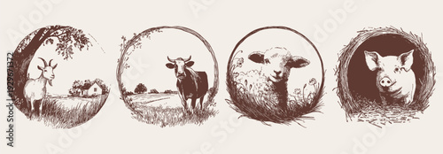 Cow, sheep, pig farm emblem rustic set. Domestic animals shown inside round countryside compositions. Illustration for agricultural packaging. Classic pencil hand drawn sketch style.