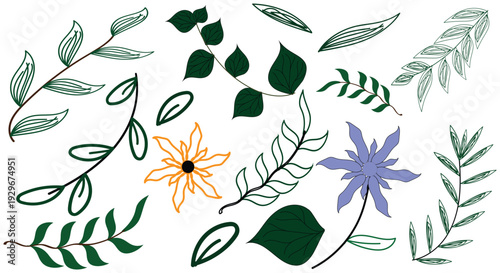 Hand Drawn Botanical Leaves and Flowers Vector Set, Minimal Floral and Leaf Elements Collection Vector, Organic Nature Leaves and Wildflower Line Art Set