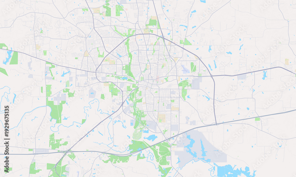 Fototapeta premium Longview Texas map