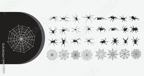 Collection of spiders and intricate spiderwebs in black and white
