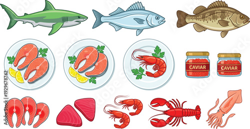 Seafood and fish vector illustration set, salmon steaks, lobster, shrimp, caviar, shark icon