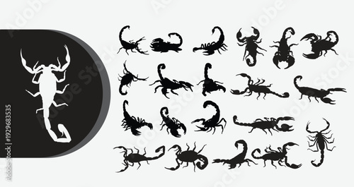 Collection of scorpion silhouettes in various poses