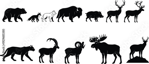 Wild animal silhouette collection including bear wolf bison moose and deer, forest and mountain wildlife set, nature fauna icons.