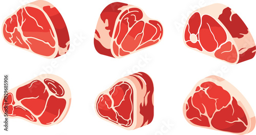 Raw beef steak meat slice set flat vector illustration cad drawing isolated on white background