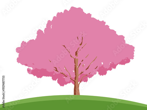 背景, カラフル, 木, 桜, 植物, 自然, ベクター, とぶ, イラスト, ブランチ, 葉, 