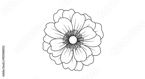 Beautiful black and white line art illustration of a blooming flower with many petals and detailed central stamens.