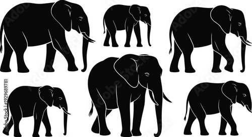 Majestic elephant silhouettes and line art collection, African wildlife vector set featuring adult elephants and calves on white background