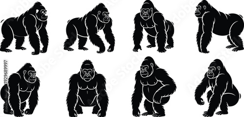 Large collection of gorilla silhouettes, majestic silverback primate vector set, various standing and sitting ape icons on a white background