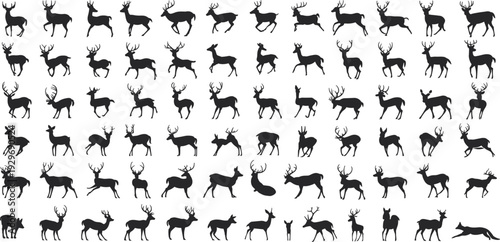 Massive collection of deer silhouettes, majestic stag with antlers vector set, jumping and standing buck icons isolated on white background. (Exactly 20 words)