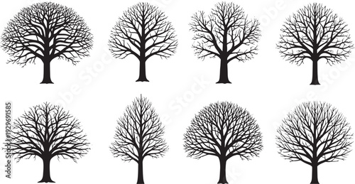 Silhouetted Trees in a Serene Landscape