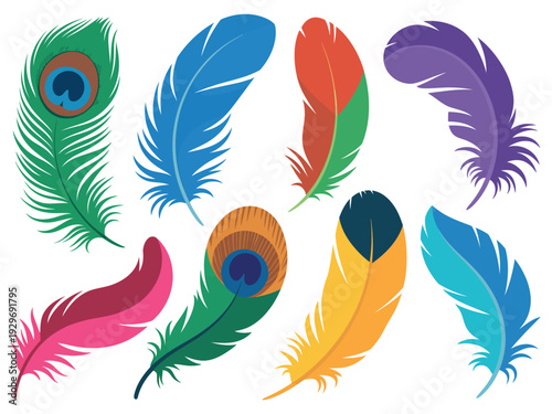 Colorful Feather Collection Illustration Art