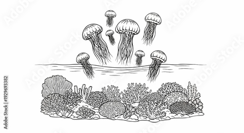 Jellyfish drift gracefully above a vibrant coral reef teeming with marine life