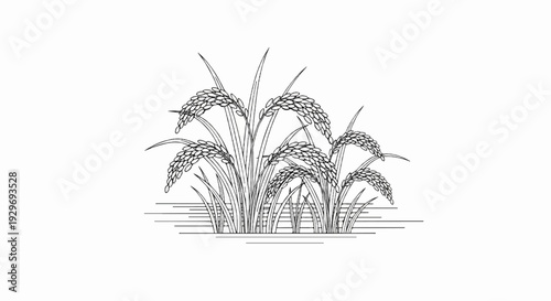 A monochrome illustration of ripe rice stalks with grains, set against a white background