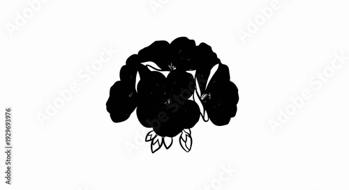 Silhouette of blooming flowers with leaves against a white backdrop