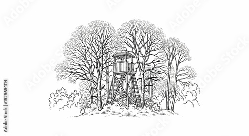 A wooden observation tower stands amidst bare trees and dense undergrowth in a forest