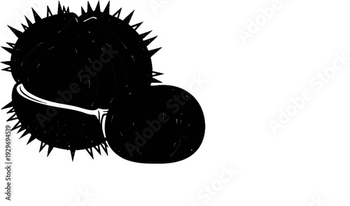 Two spiky, round natural objects, one larger and one smaller, rendered in black and white