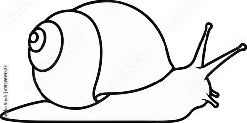 A stylized outline drawing of a snail with a coiled shell and two prominent antennae