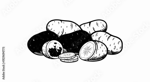 Pile of diverse potatoes, some cut to show interior texture and seeds