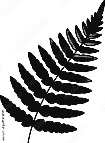 Black fern frond with gray accents on a white background
