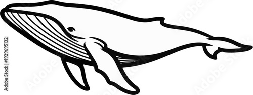 A stark, black and white illustration depicts a large whale in mid-swim