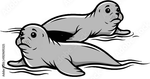 Two cute seals are swimming in the water, looking slightly sad