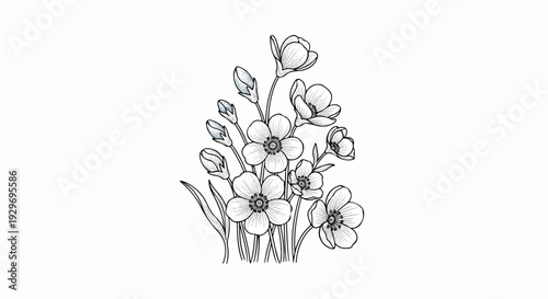 Delicate line drawing of a bouquet of blooming flowers and buds