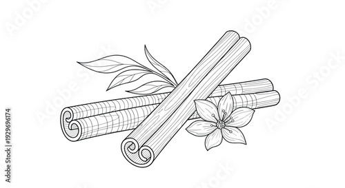 Detailed hand drawn botanical sketch of aromatic cinnamon sticks with green leaves and spice flower isolated on white.