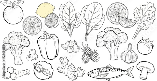 A collection of fresh produce and a fish, rendered in black and white line art