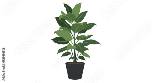 Indoor houseplant with large green leaves in a dark grey pot, illustrated in a simple flat style for interior design concepts.