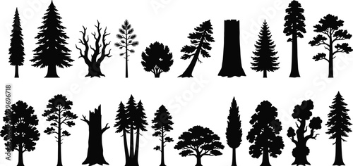 Collection of Forest Tree Silhouettes Including Pine Oak Fir and Deciduous Varieties Vector Illustration Isolated on White Background