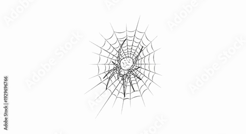 A detailed illustration of a spider meticulously crafting its intricate web