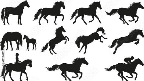 Horse Silhouette Set with Running Rearing Grazing Mare Foal and Rider Vector Illustration Isolated on White Background