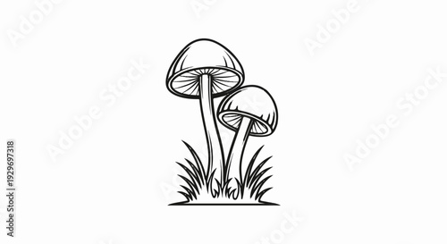 Stylized black and white illustration of two mushrooms with visible gills and stems, surrounded by grass